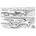 Oliver Schopf, editorial cartoons from Austria, cartoonist from Austria, Austrian illustrations, illustrator from Austria, editorial cartoon politics politician Europe 2010: italy berlusconi marsh pontine marshes corruption dry