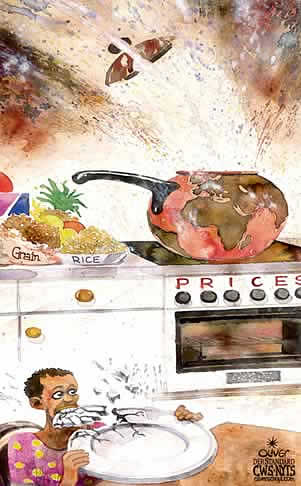 Oliver Schopf, editorial cartoons from Austria, cartoonist from Austria, Austrian illustrations, illustrator from Austria, editorial cartoon miscellaneous 2008: Africa, zimbabwe, mugabe, winner,2008: food, prices, rice, grain, cooking, world, hungry starving
