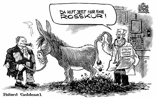  Oliver Schopf, politischer Karikaturist aus Österreich, politische Karikaturen, Illustrationen Archiv politische Karikatur 2008: da hilft nur eine rosskur finanzkrise, goldesel, tierarzt, rosskur





