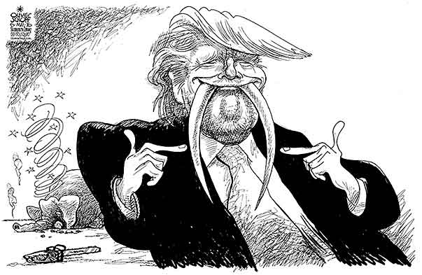 Oliver Schopf, editorial cartoons from Austria, cartoonist from Austria, Austrian illustrations, illustrator from Austria, editorial cartoon politics politician International, Cartoon Arts International, New York Times Syndicate, 2016: USA PRESIDENT ELECTIONS 2016 DONALD TRUMP GOP ELEPHANT TUSK CANDIDATE IVORY WALRUS SMILODON SABER-TOOTHED TIGER   
