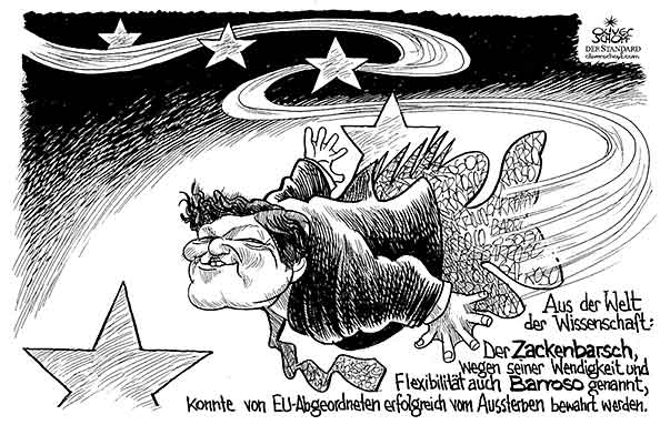  Oliver Schopf, politischer Karikaturist aus Österreich, politische Karikaturen aus Österreich, Karikatur Illustrationen Europa 2009: aus der welt der wissenschaft der zackenbarsch wegen seiner wendigkeit und flexibilität auch barroso genannt konnte von eu-abgeordneten erfolgreich vom aussterben bewahrt werden.
eu, europäische union barroso, wiederwahl, zackenbarsch, fisch, schwimmen Politik Politiker 
   