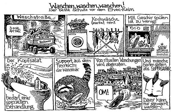 Oliver Schopf, politischer Karikaturist aus Österreich, politische Karikaturen aus Österreich, Karikatur Illustrationen Politik Politiker Europa 2011 ehec gurke gemuese waschen waschstrasse kochwaesche kopfwaesche waschbaer waschung weisse weste

 
   